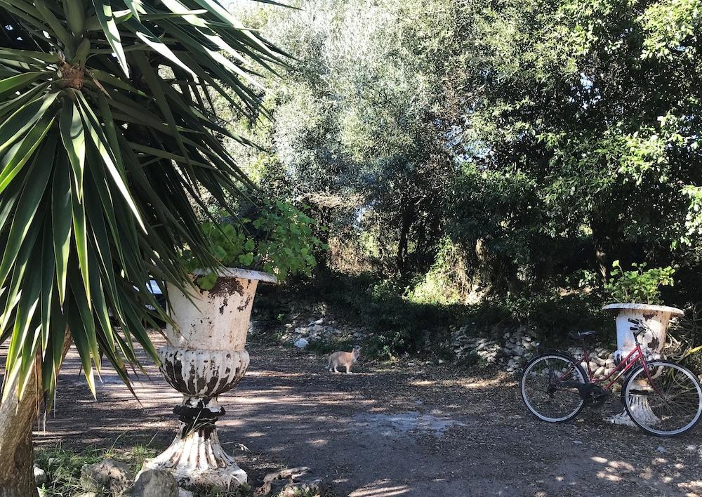 Residence Hoteliere A Trama Bonifacio  Εξωτερικό φωτογραφία