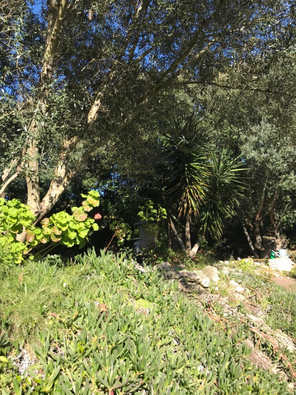 Residence Hoteliere A Trama Bonifacio  Εξωτερικό φωτογραφία